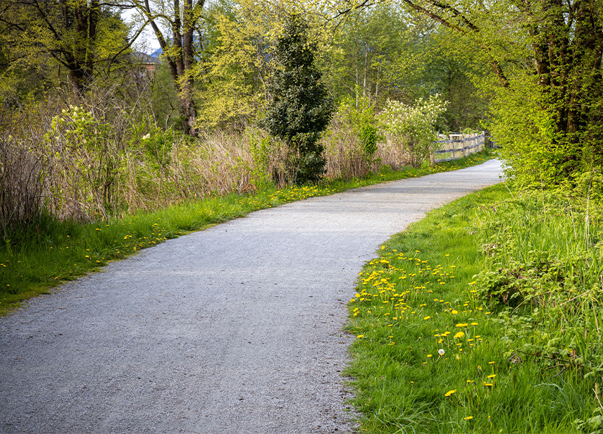 Cricket Frog Trail-image